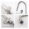 Stainless Steel Pull Down Touch Kitchen Sink Faucet with Sensor