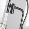 Brass Kitchen Sink Faucet with Purified Water Filter