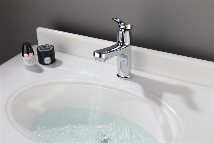 Single Hole Bathroom Sink Vanity Faucet with Sprayer
