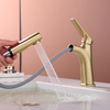 Brass Basin Tap Pull Out Bathroom Sink Faucets