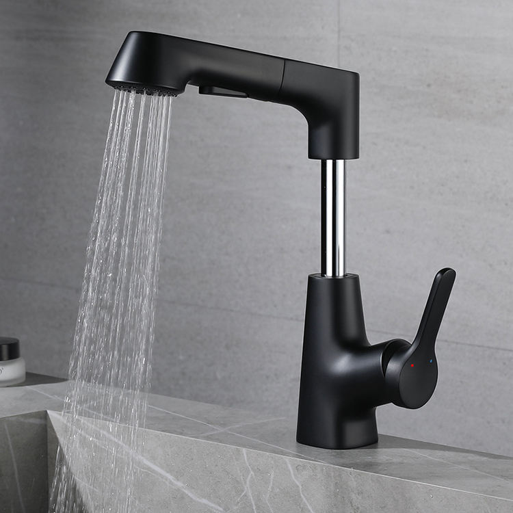 Single Hole Bathroom Lavatory Lifting Pull Out Basin Sink Faucet