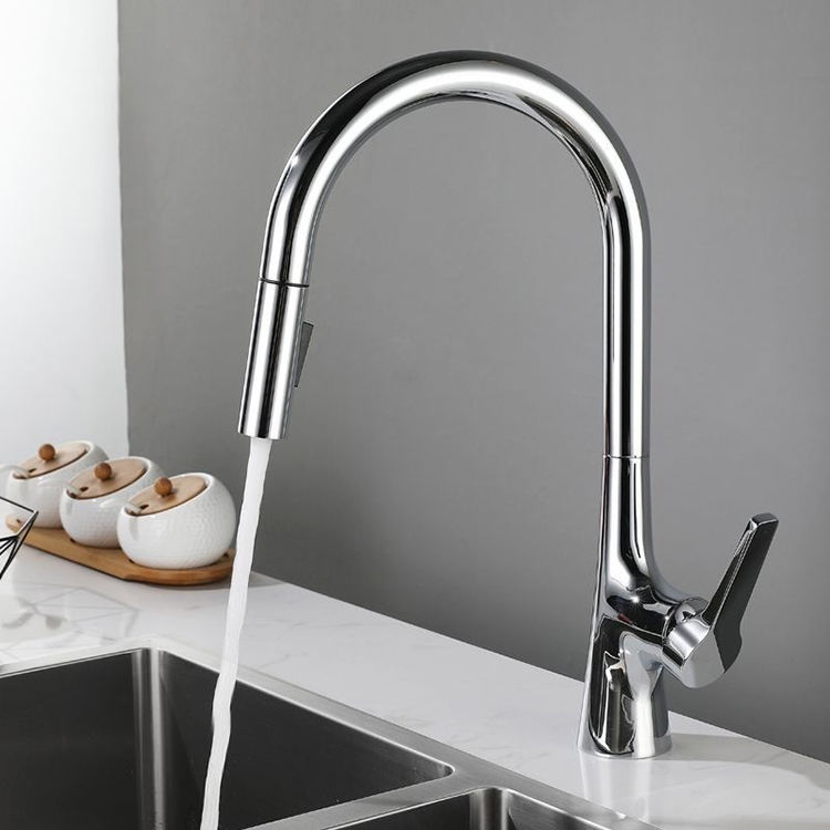 Single Handle Brass Replacement Kitchen Faucet with Pull Out Sprayer