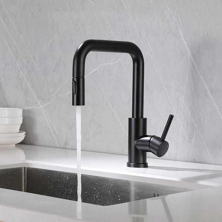 Kitchen sink tap 304 stainless steel water faucet tap kitchen faucet with flexible spout