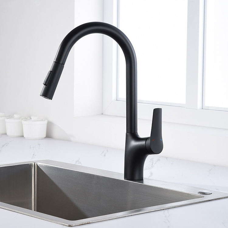 Single Hole Single Handle Black Kitchen Faucets Pull Down