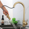 Modern Polished Gold Pull Out Kitchen Sink Faucet with Sprayer