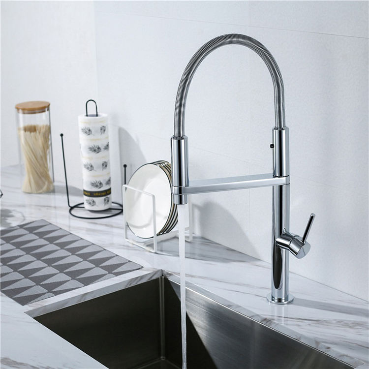 Single Hole Kitchen Water Faucet Sink Flexible Hose