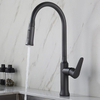 Stainless Steel Single Handle Kitchen Sink Faucets with Pull Out Spout