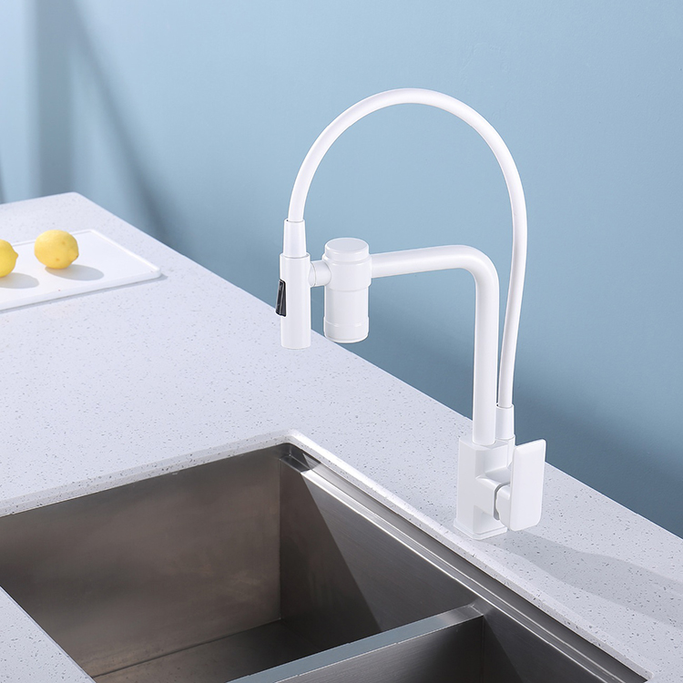 Brass Kitchen Sink Faucet with Purified Water Filter