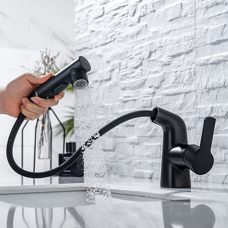 Single Lever Bathroom Sink Mixer Faucet with Pull Out Sprayer