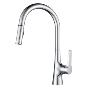 Single Handle Brass Replacement Kitchen Faucet with Pull Out Sprayer