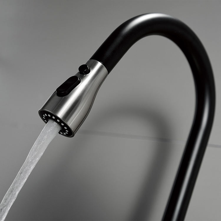 Black Stainless Steel Kitchen Faucet with Pull Down Sprayer