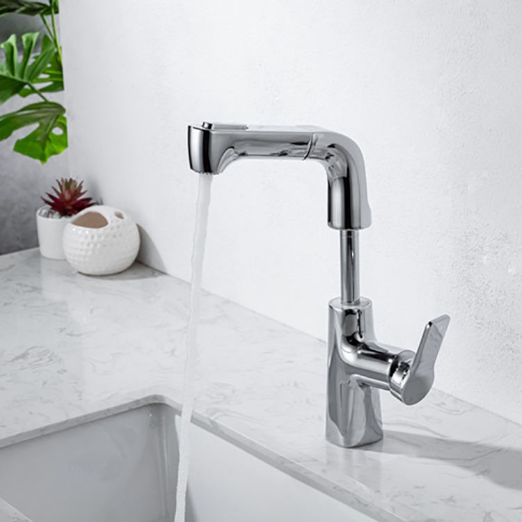 Single Hole Pull Out Basin Faucet Mixer Tap Black