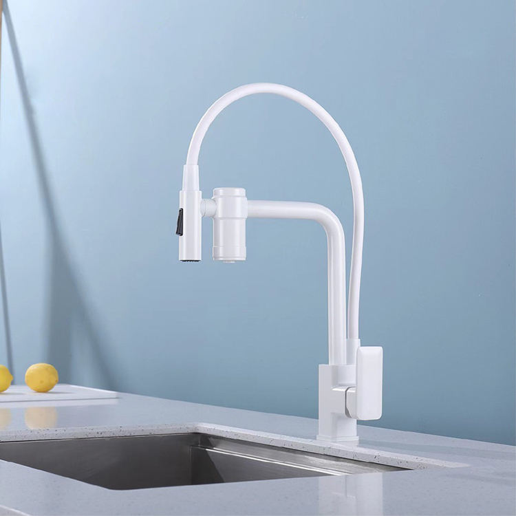 Brass Kitchen Sink Faucet with Purified Water Filter