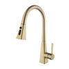 Stainless Steel Kitchen Sink Tap Faucets with Pull Down Sprayer