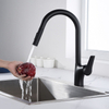 Single Hole Single Handle Black Kitchen Faucets Pull Down