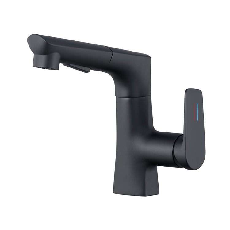 Bathroom Basin Faucet Mxier Pull Out