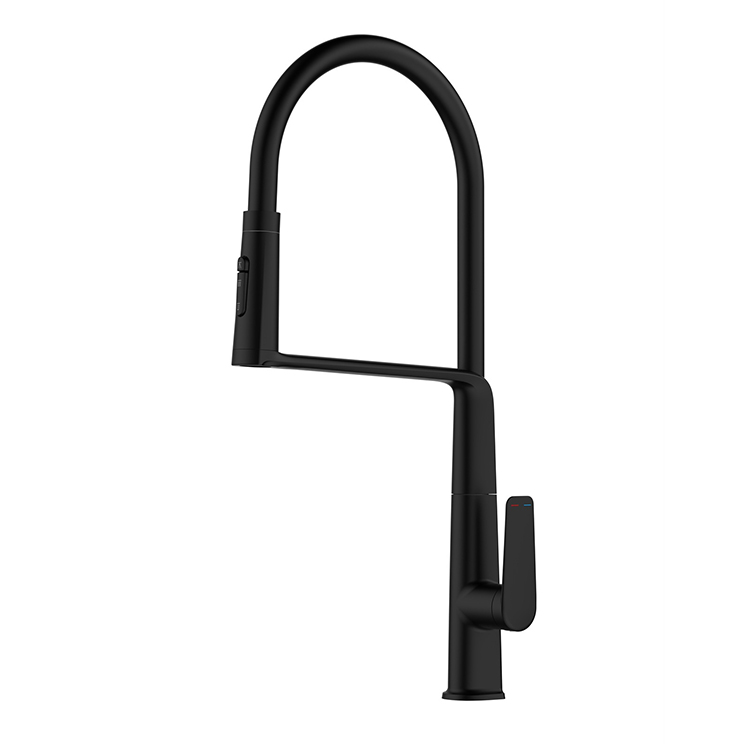 Brass Kitchen Faucet